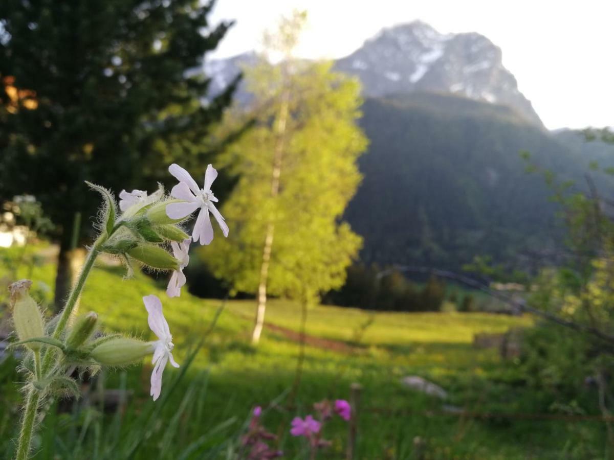 Kofelhof Villa Sexten Esterno foto